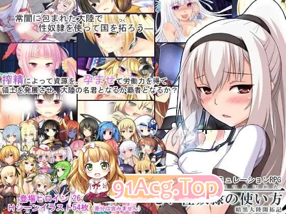 题材隶的正确使用方法-暗黑大陆开拓记 - 正しい题材隷の使い方 v2.2.0 PC端 汉化版 预览图