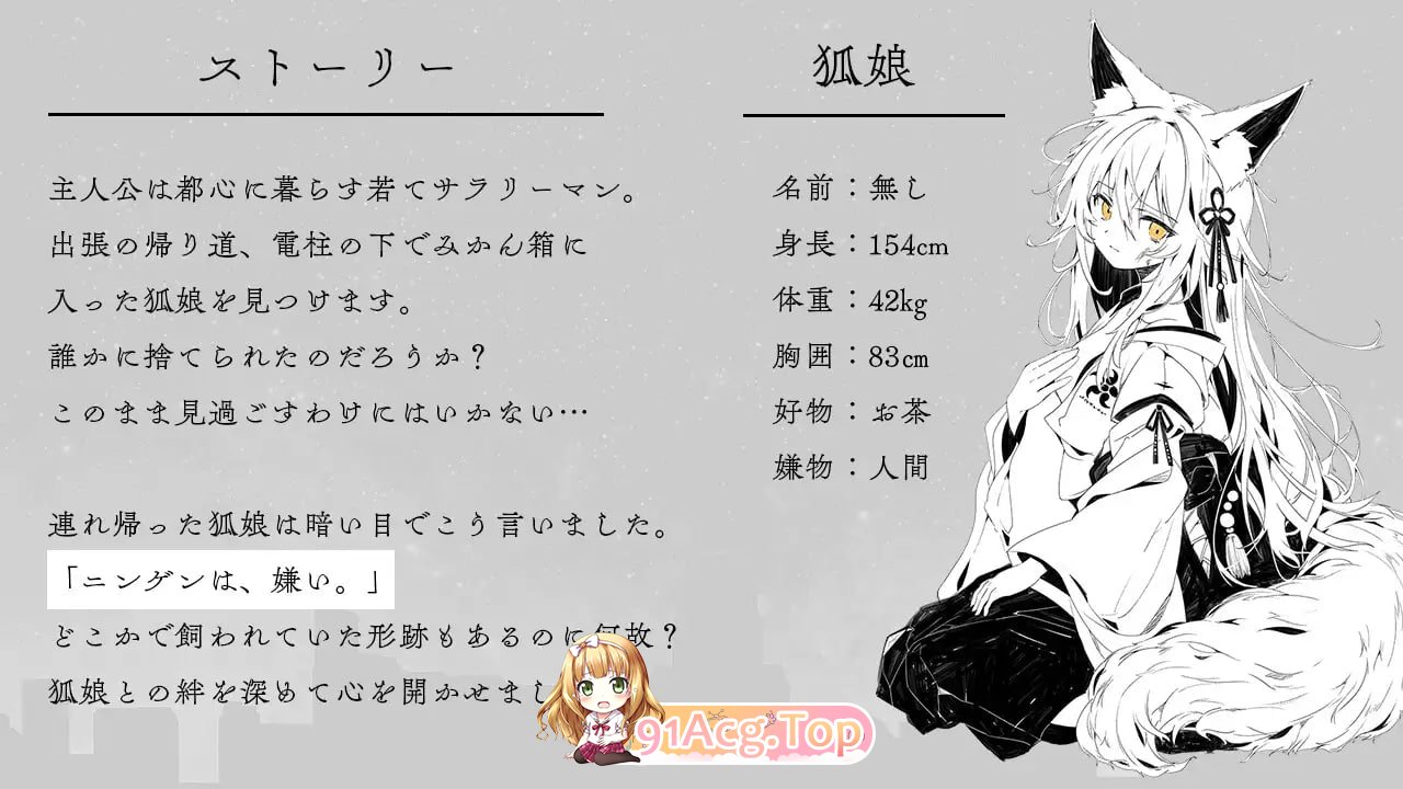 捡到的狐娘逐渐亲近的夜晚 拾った狐娘が少しずつ懐いてくる夜 PC端 汉化更新版