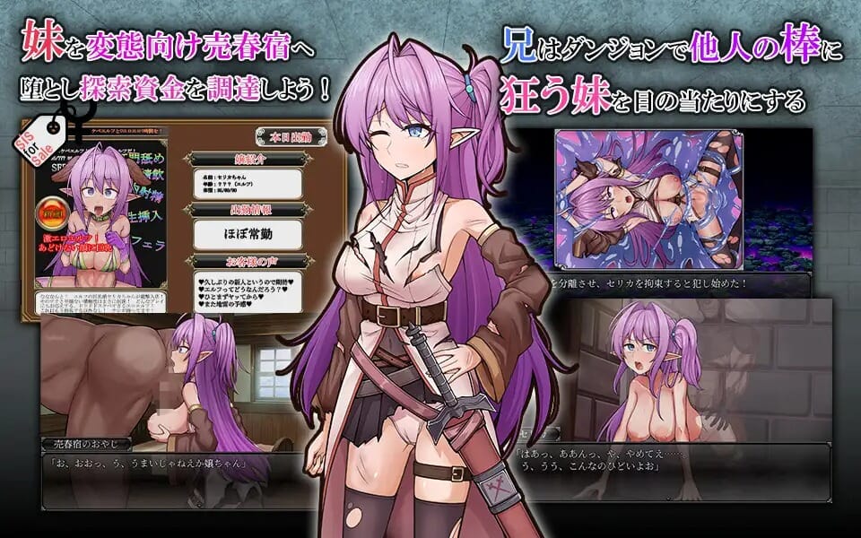A2521 网络出轨情绪波动精灵妹妹剑士塞莉卡ネトラレ発情エルフ妹剣士セリカ PC端 AI汉化版 预览图