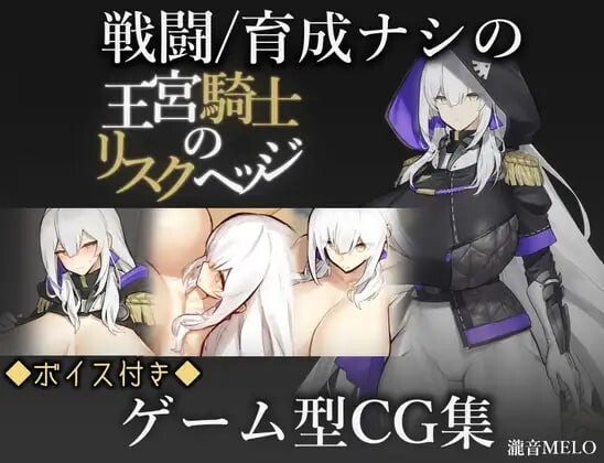 王宫骑士的风险对冲 王宮騎士のリスクヘッジ PC端 汉化版 预览图