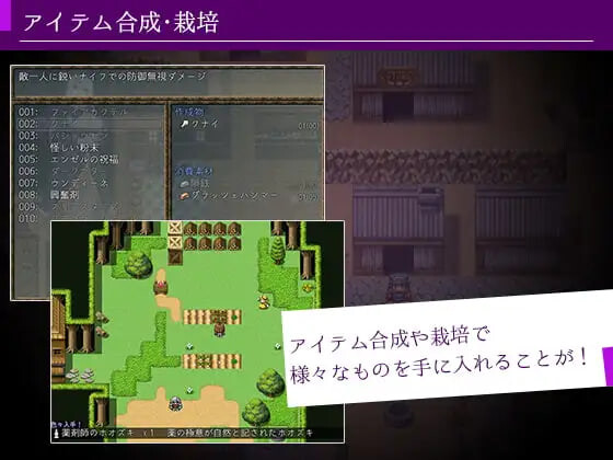丽莎与魅魔的魔导书 リサと魅魔のグリモワール PC端 汉化版 预览图