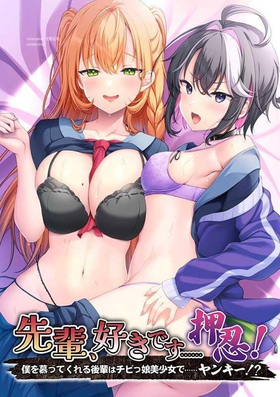 前辈，我喜欢你……押忍！～仰慕我的后辈是矮个子美少女……不良少女！？ PC端 AI汉化版