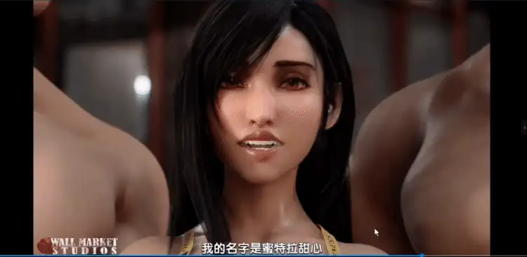 动漫视频 PC端 汉化版
