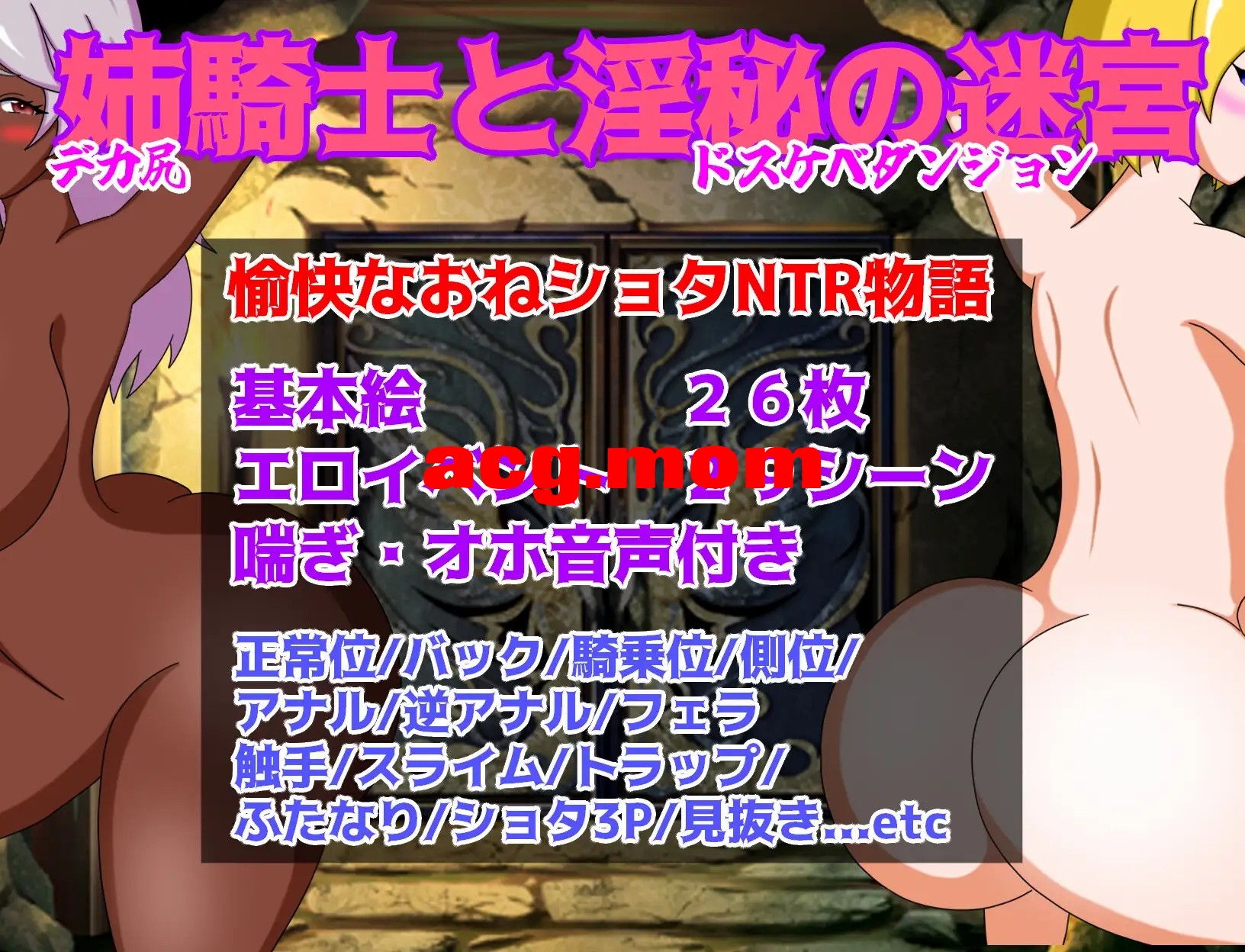 姐骑士与淫秘迷宫 姉騎士と淫秘の迷宮 内嵌AI汉化版 双端 预览图