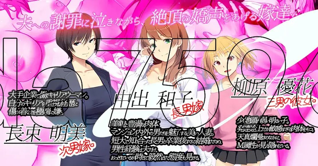 嫁挿れ時 Remake Ver241126 PC端 AI汉化版 预览图