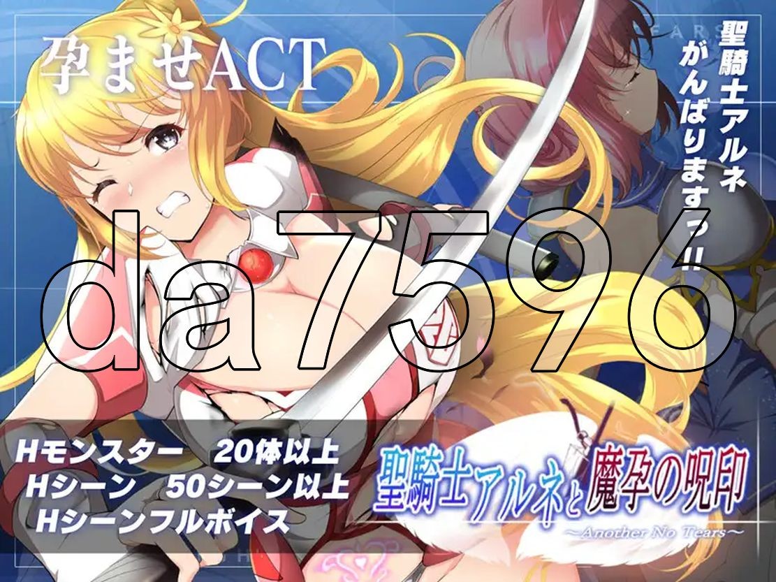 圣骑士阿恩与魔孕咒印 聖騎士アルネと魔孕の呪印～Another No Tears～ Ver1.0.10 官方中文版 PC端 官中版 预览图