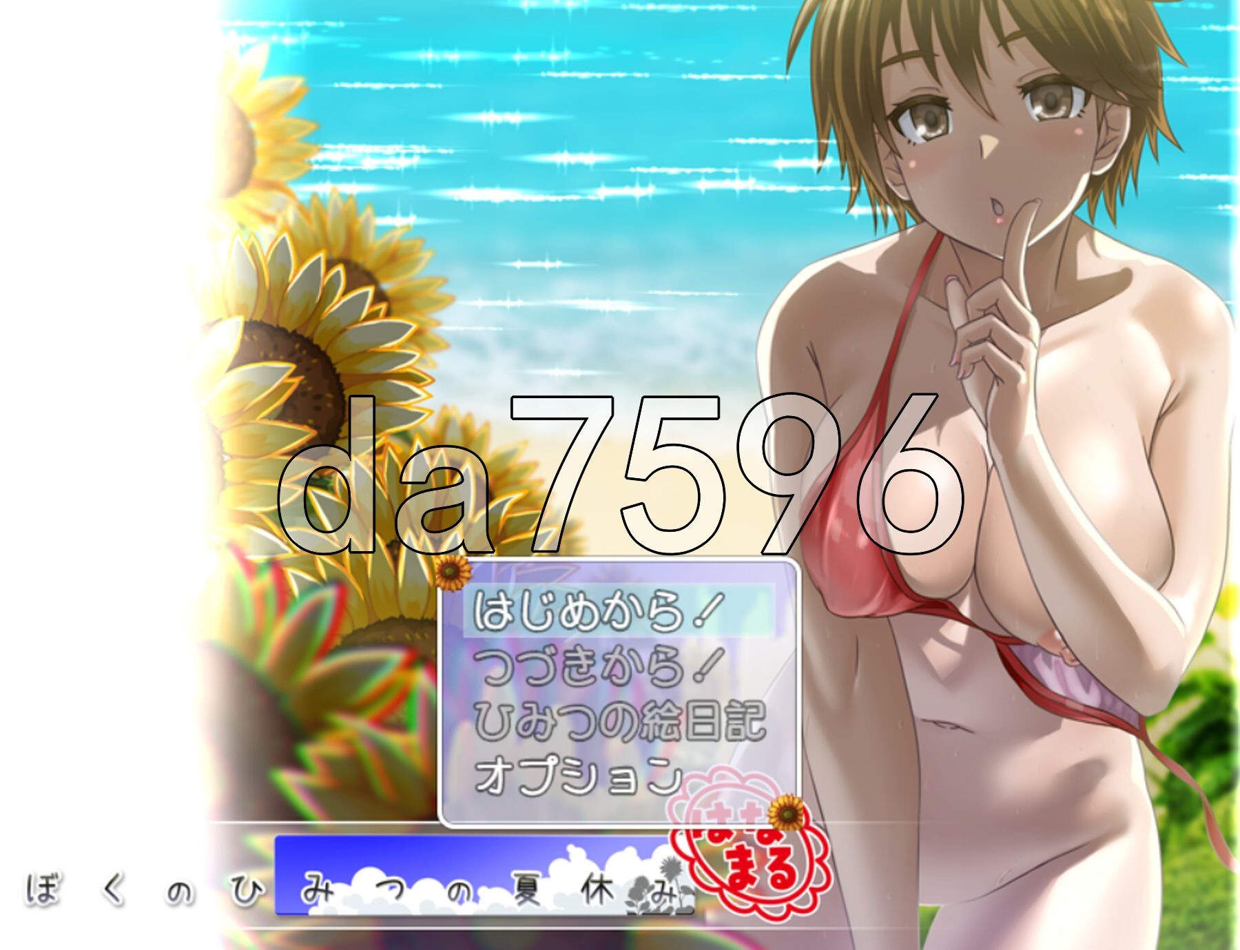 我秘密的暑假时光重制版 ぼくのひみつの夏休み はなまる1.Ver1.1.9 AI汉化版+去码补丁 PC端 AI汉化完整版 预览图