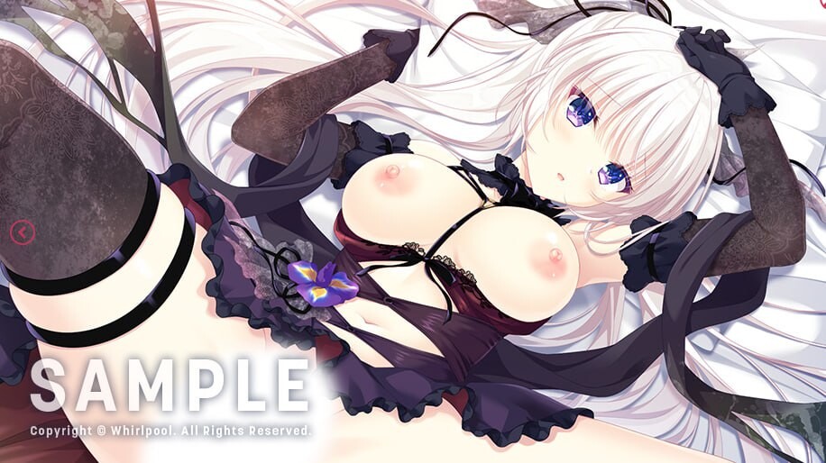 猫忍之心SPIN！2 猫忍えくすはーとSPIN！2 NEKO-NIN exHeart SPIN! 2 PC端 AI汉化更新版 预览图
