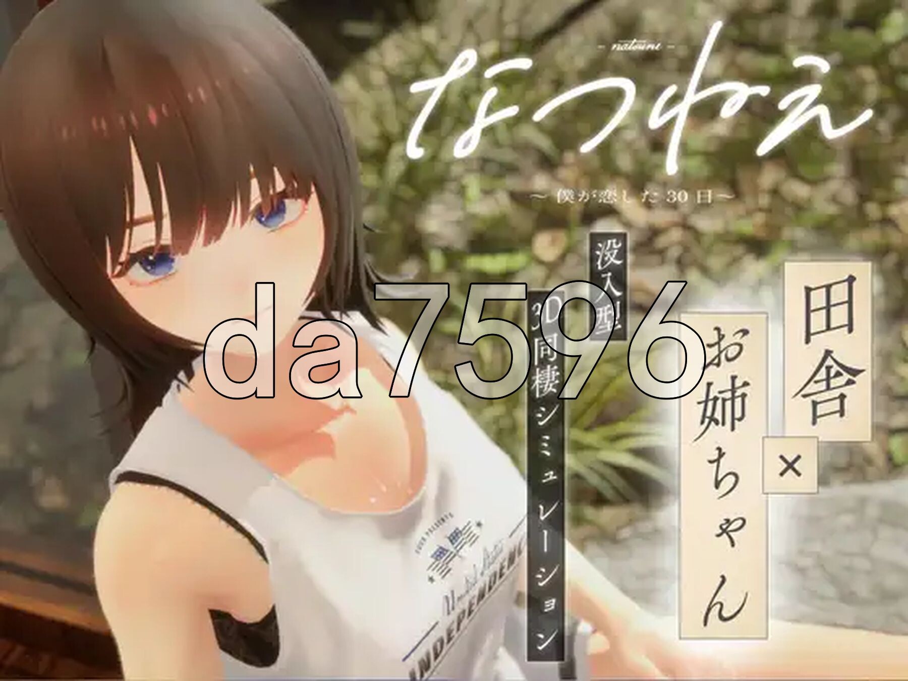 夏姐姐 ～我恋爱的30天～ なつねえ ～僕が恋した30日～ 正式版 PC端 更新版 预览图
