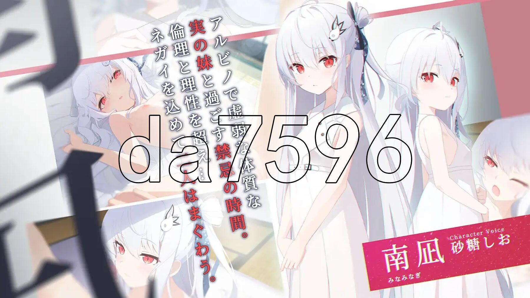 只愿 カタネガイ Ver1.03 双端 汉化高清完整版 汉化完整版 预览图