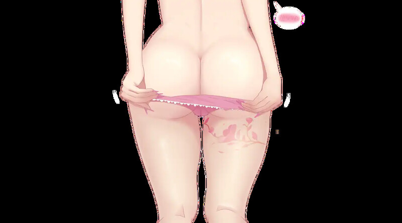 更新[国产ARPG/NTR/触手调教/动态] 夜幕之花 Night Bloom v0.610 官方中文步兵版 PC端 官中步兵 预览图