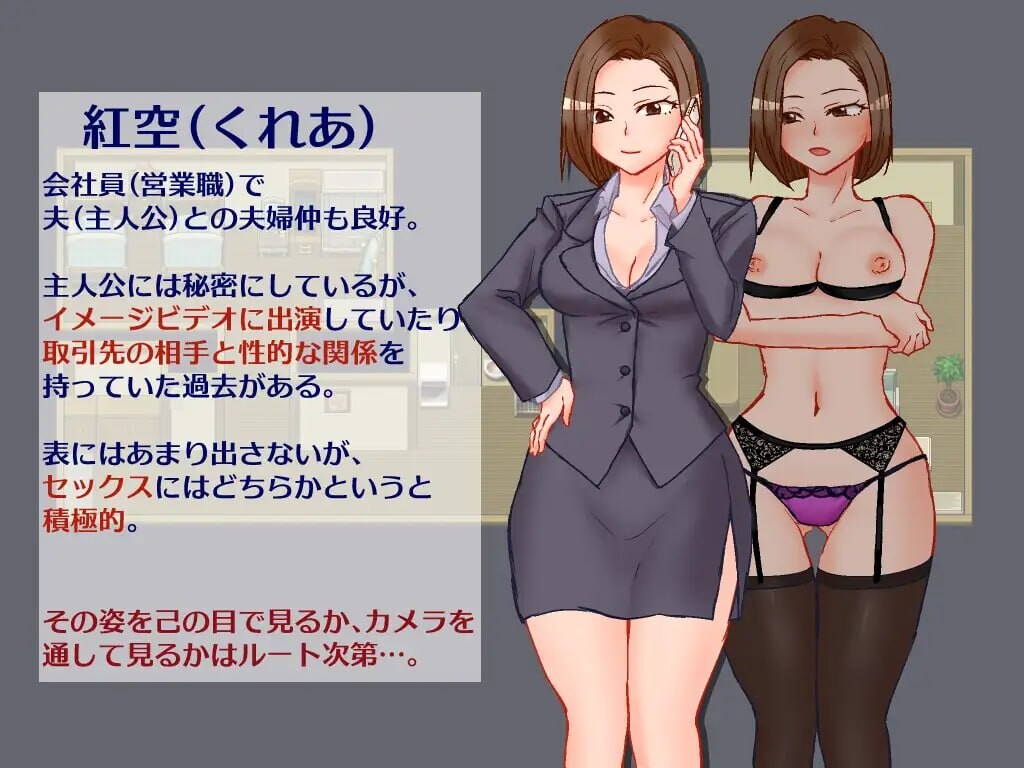 出差 回家 妻子 相机 出張 帰宅 妻 カメラ PC端 汉化版 预览图