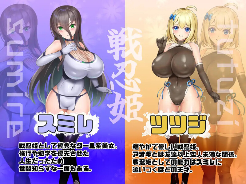 恶稼业对战忍姬（悪稼業対戦忍姫）V1.0 PC端 AI汉化版 预览图