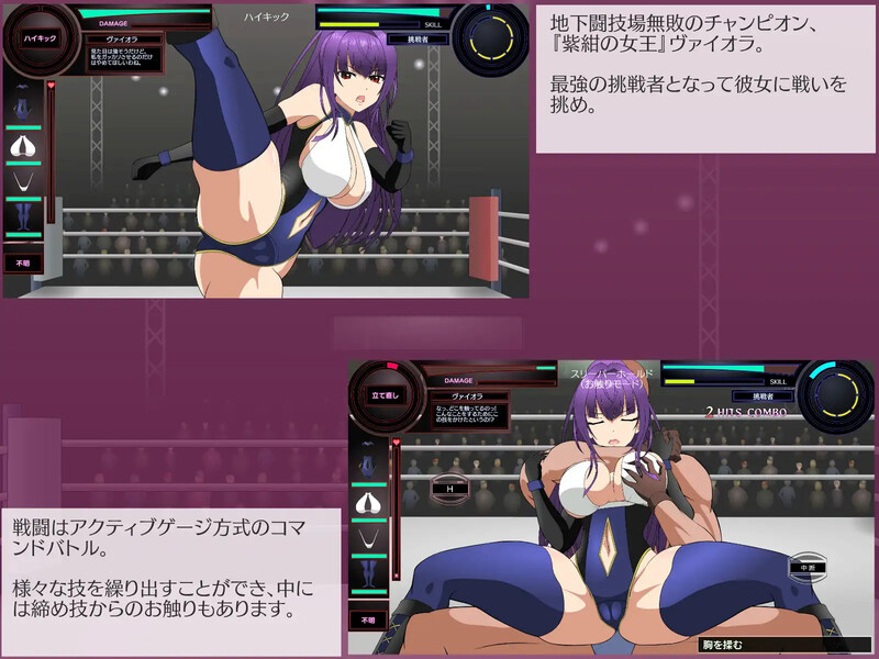 互动SLG/擂台格斗/全动态 斗技女王薇奥拉（闘技女王ヴァイオラ）V1.2 机翻汉化 PC端 AI汉化版 预览图