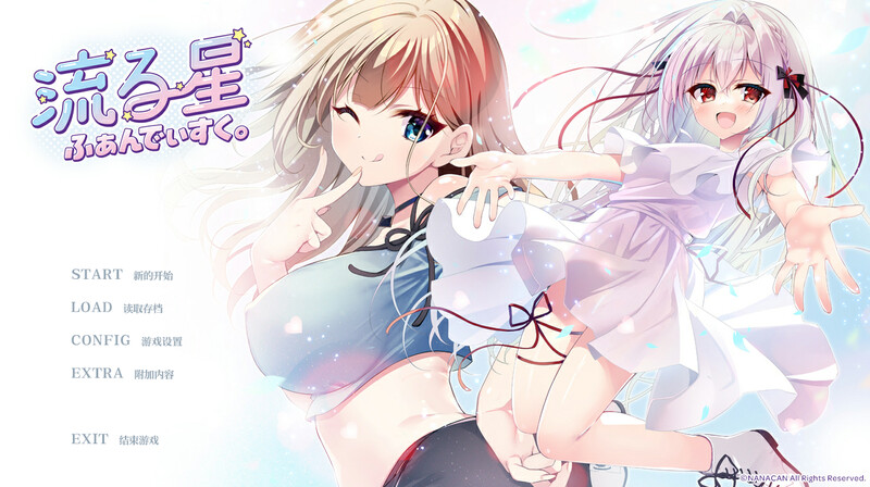 FD（流る星 ふぁんでぃすく）V1.1 PC端 AI汉化版 预览图