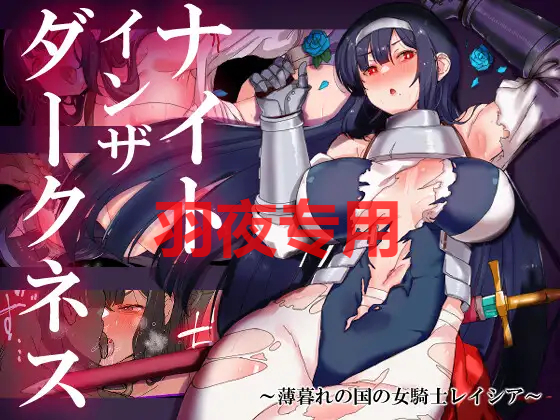 AI智能翻译/12日更新 ナイトインザダークネス ～薄暮れの国の女騎士レイシア～Ver1.05 PC端 预览图