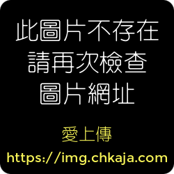 幽林庄园Mystwo v1.1.3 PC端 官中版 预览图