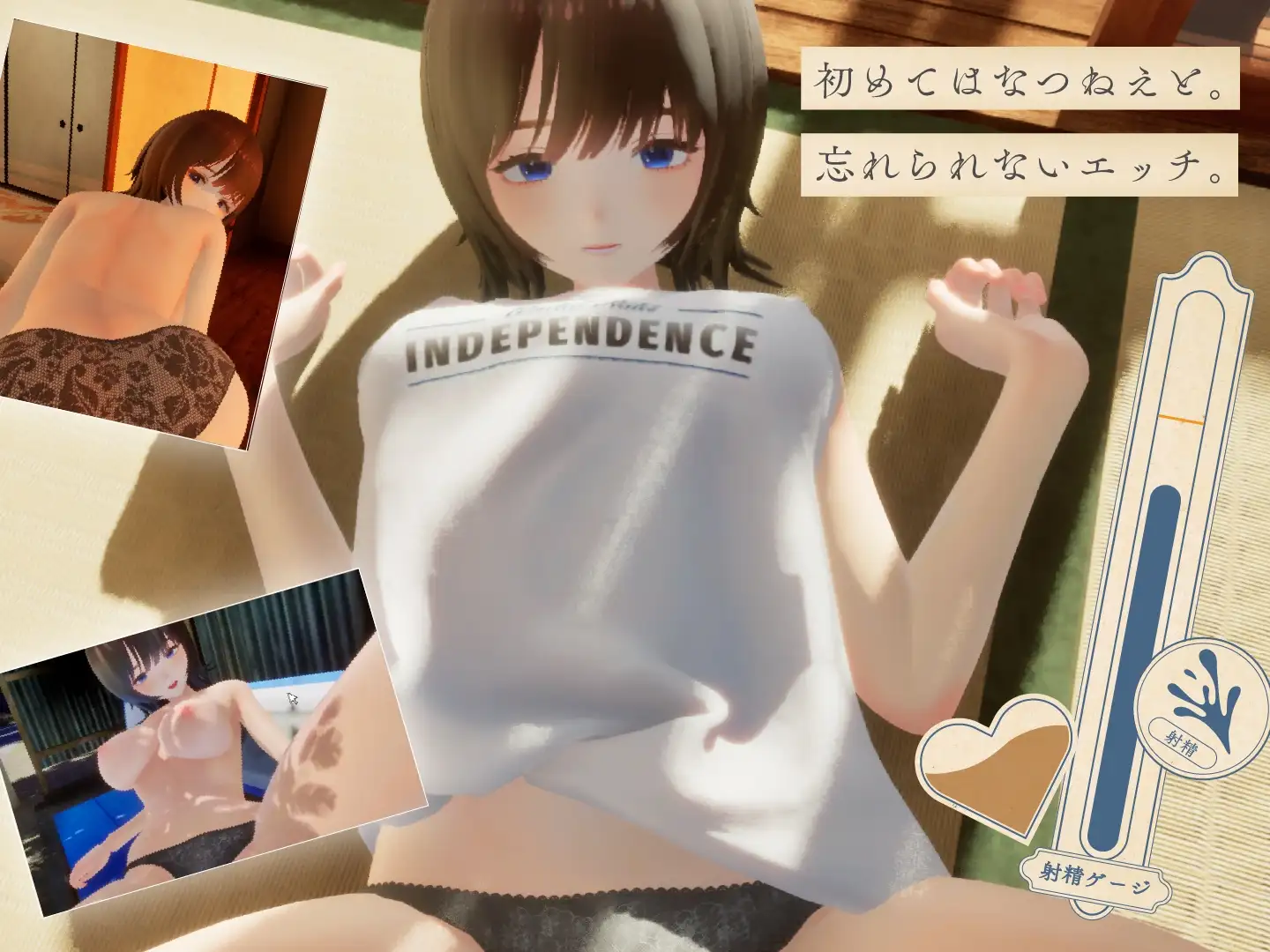 夏姐～我陷入恋爱的30天～なつねぇ～僕が恋した30日～v1.10 PC端 AI汉化高清完整版 预览图