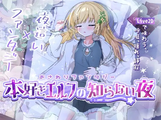 おさわりファンタジー 本好きエルフの知らない夜 PC端 日文原版 预览图