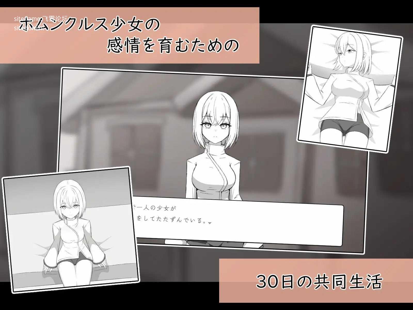 人造少女诊察记录/人造少女の診察カルテ/生肉 PC端 日文原版 预览图