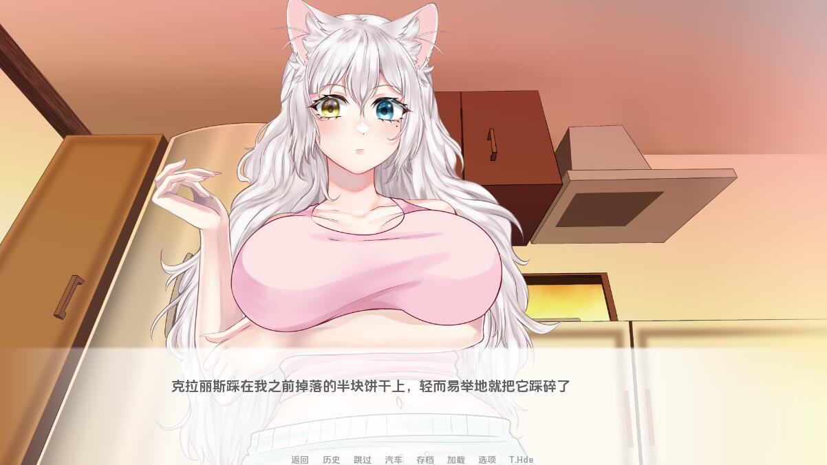 猫女 涅槃米糠 Nezumicon-v0.1.24 双端 汉化版 预览图