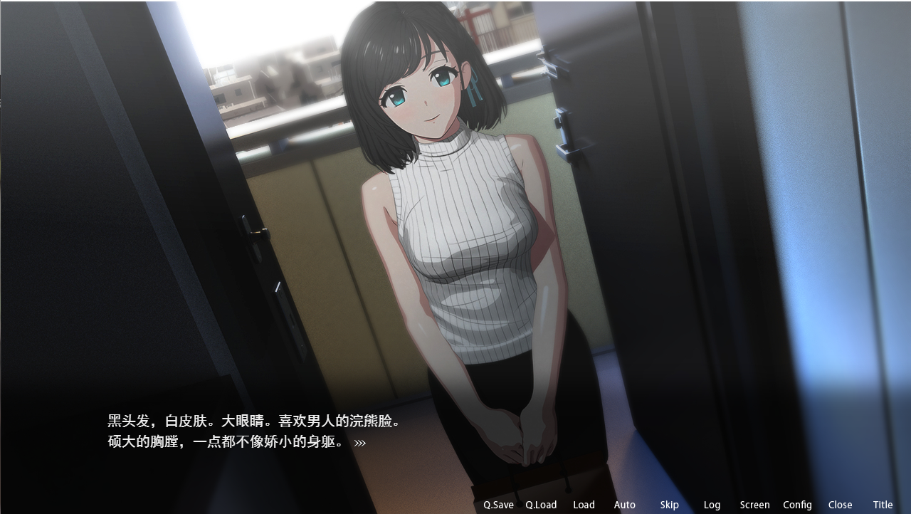 Ver2.05 官方中文版 PC端 官中版 预览图