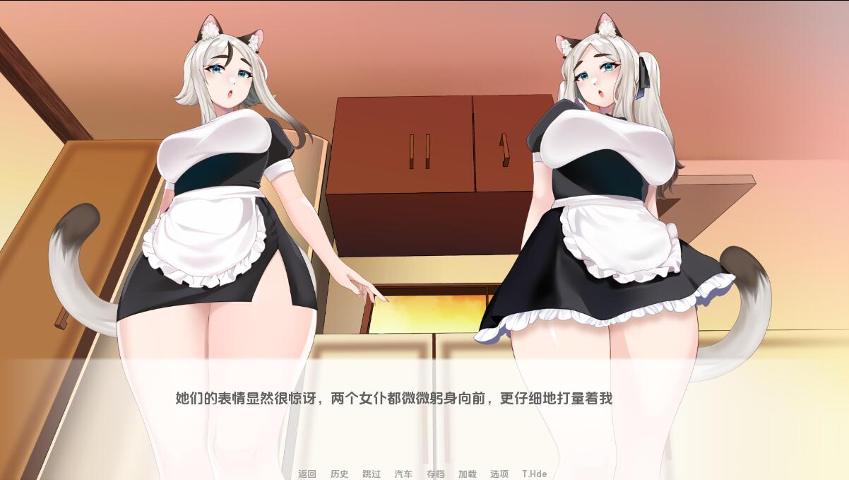 猫女 涅槃米糠 Nezumicon-v0.1.21 双端 汉化版 预览图