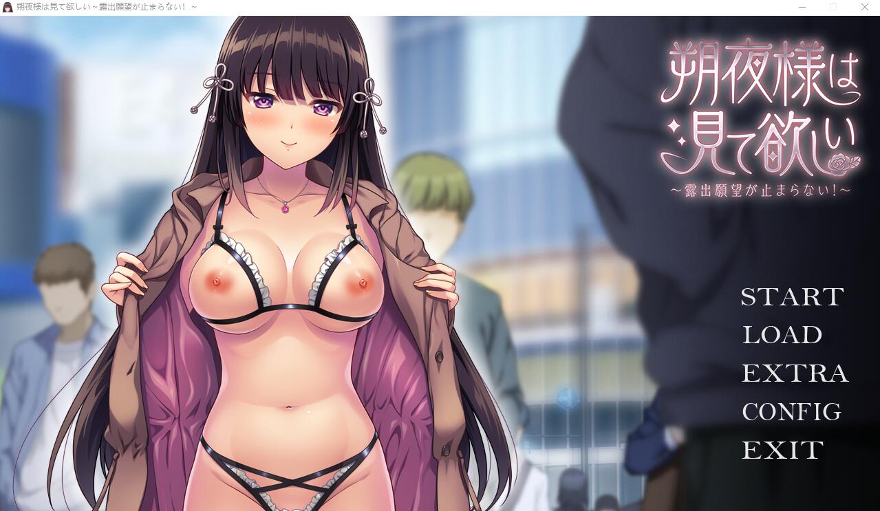 朔夜大人，请看看～无法停止的暴露愿望！～AI汉化版 PC端 AI汉化完整版 预览图