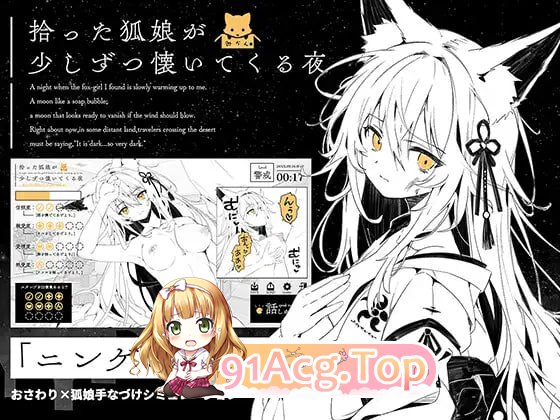 捡到的狐娘逐渐亲近的夜晚 拾った狐娘 存档 安卓端 汉化更新版