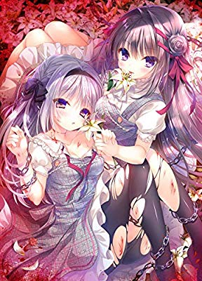 真爱百合被染成红色 染成红色的真爱百合 真愛の百合は赤く染まる 双端 完整版 预览图
