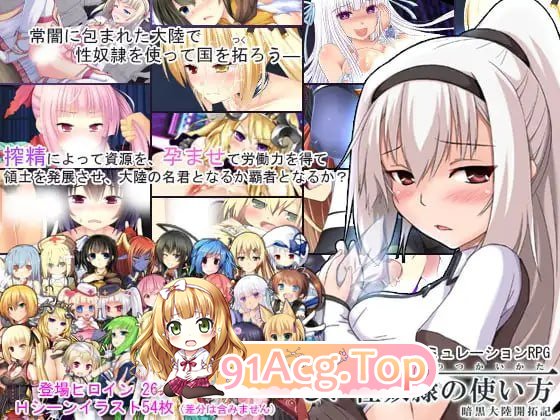 题材隶的正确使用方法 正しい题材隷の使い方 v2.2 修复版 PC端 汉化版 预览图