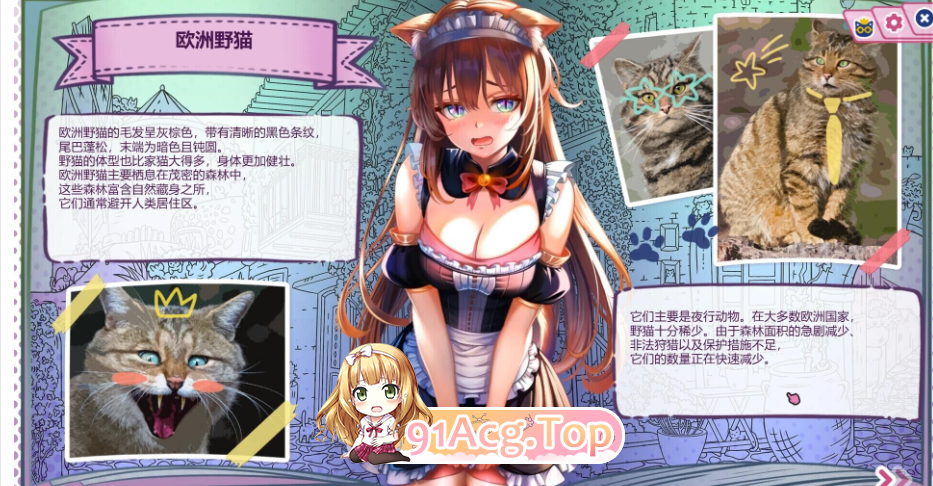 Nekopedia Find Her Tail PC端 官中完整版 预览图