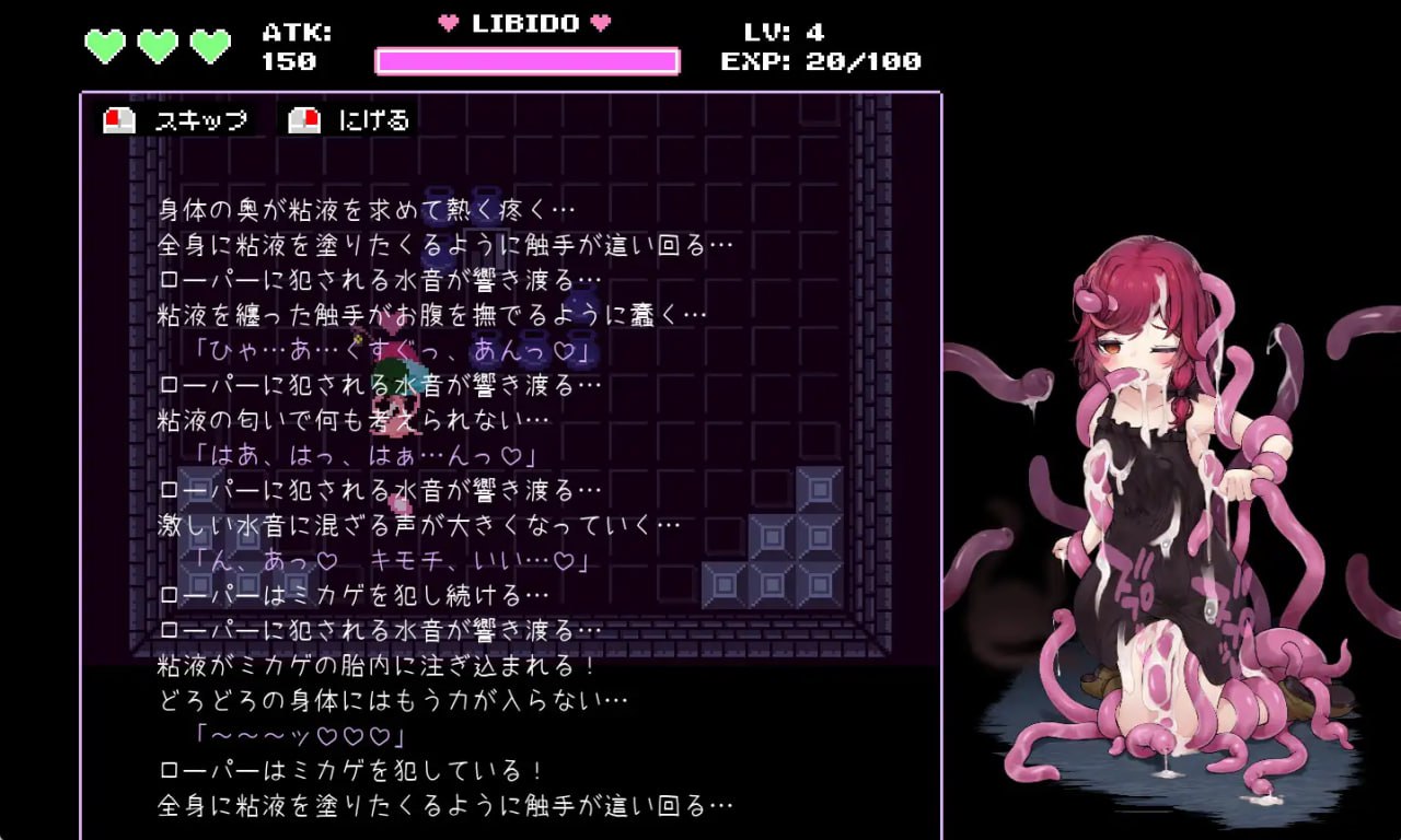 魔法使的悖论迷宫 魔女とスライムの迷宮 -Magician's Demimonde PC端 汉化版 预览图