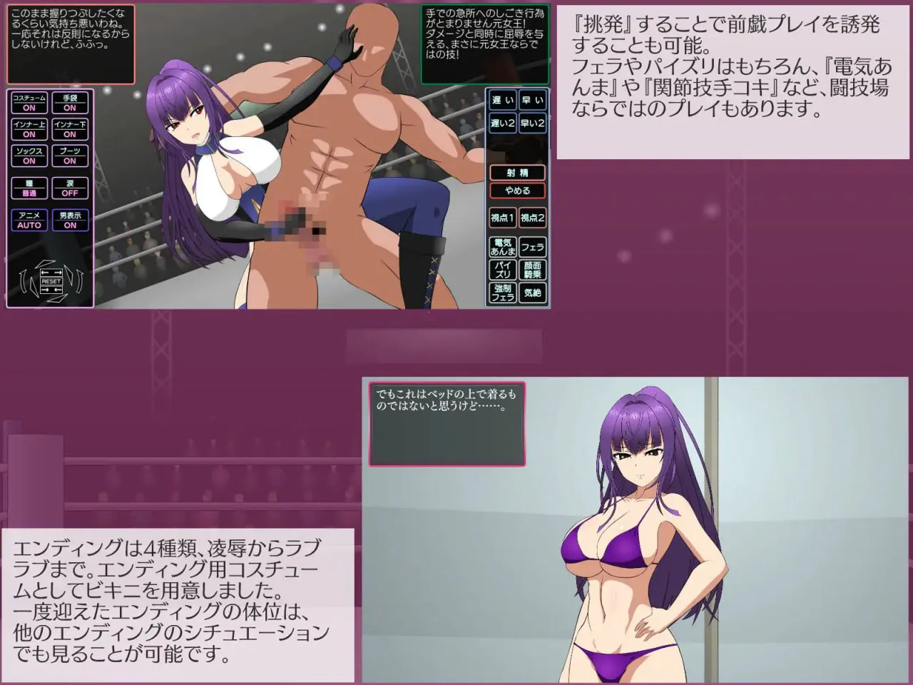 斗技女王维奥拉/闘技女王ヴァイオラ PC端 汉化版