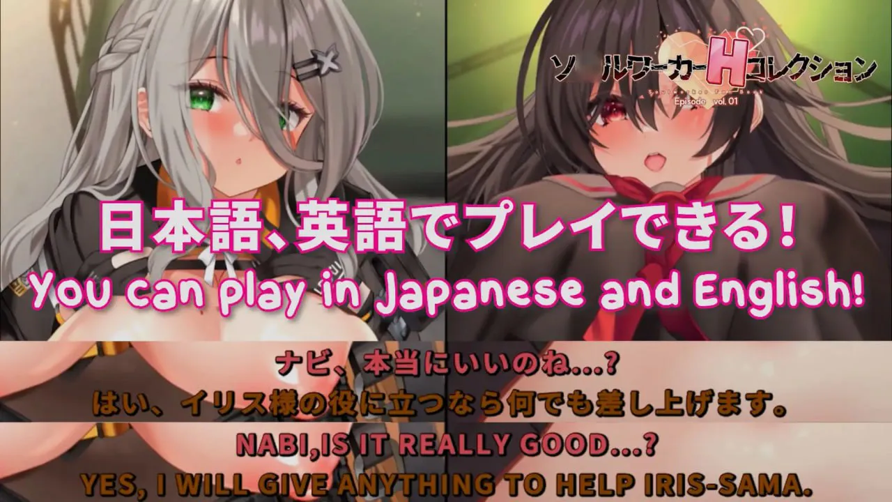 ソルワーカーHコレクション PC端 日文原版