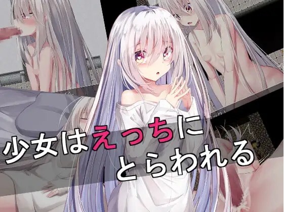 少女はえっちにとらわれる v1.0 PC端 AI汉化版 预览图