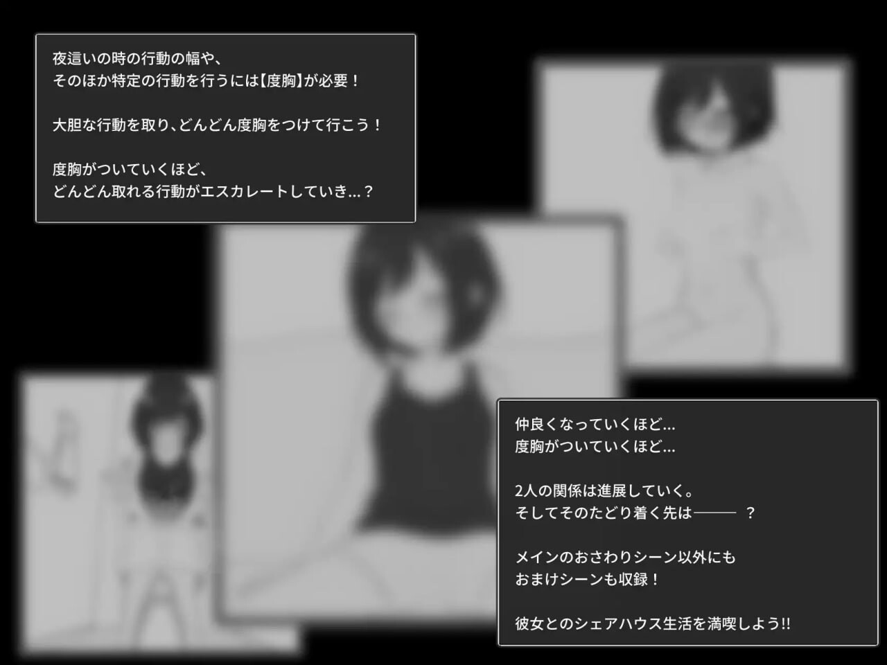 秘密合租生活 秘密共享生活 秘密のシェアハウスせいかつ v1.07 PC端 汉化版