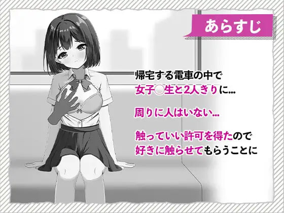 快感痴汉触摸电车 快感痴◯おさわり電車 生肉版+自带全回想 PC端 完整版 预览图
