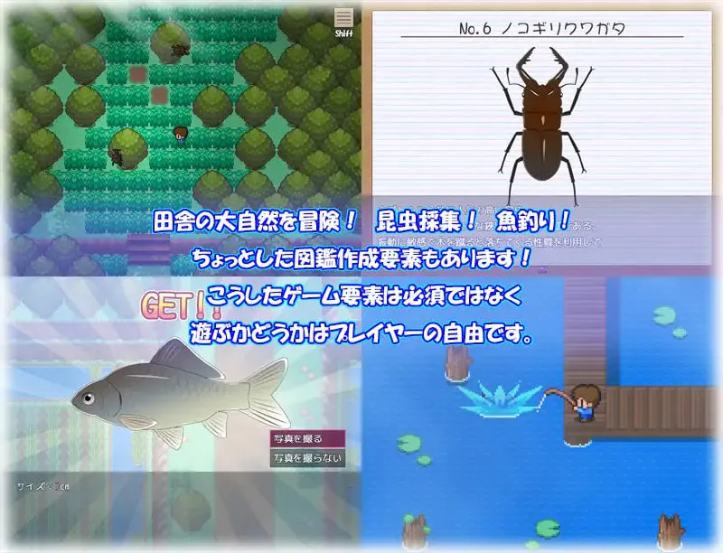 我和家人的暑假 v2.1/カナエ ぼくとママの夏休み PC端 汉化版 预览图
