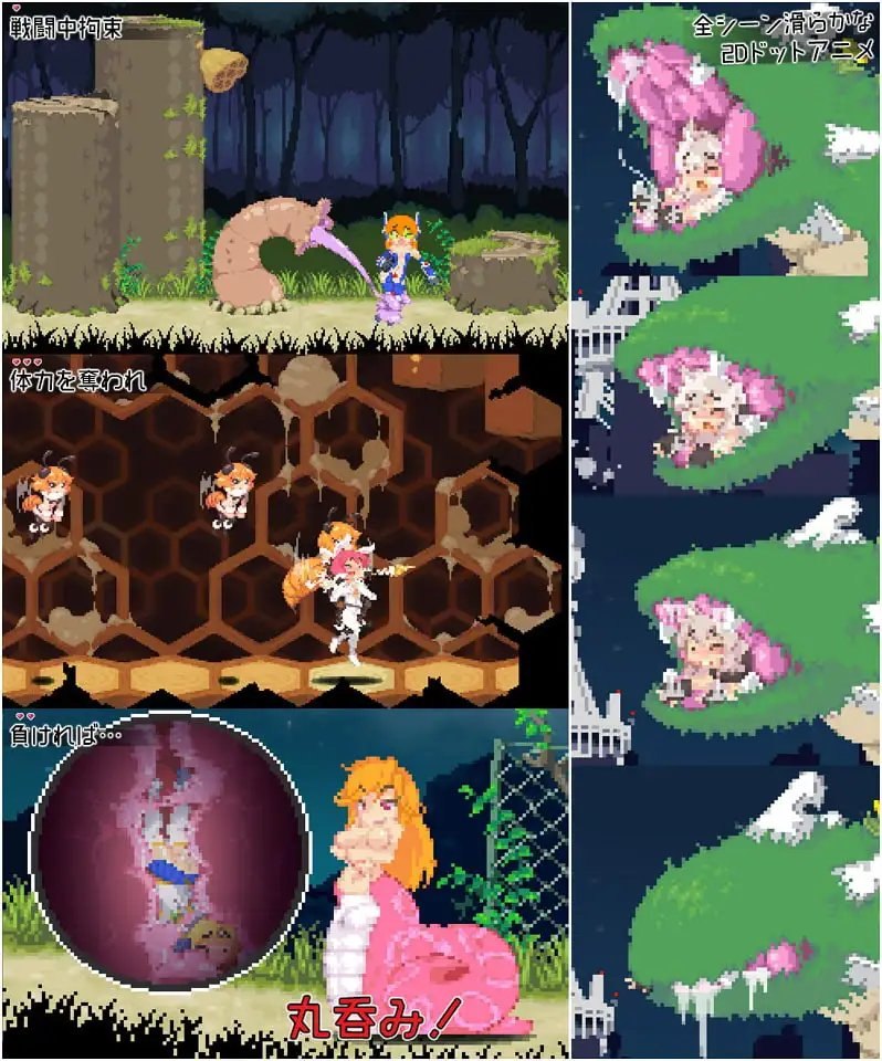ミリア戦記DX ECHIDNA WARS DX v1.11 动态生肉版 PC端 日文原版 预览图