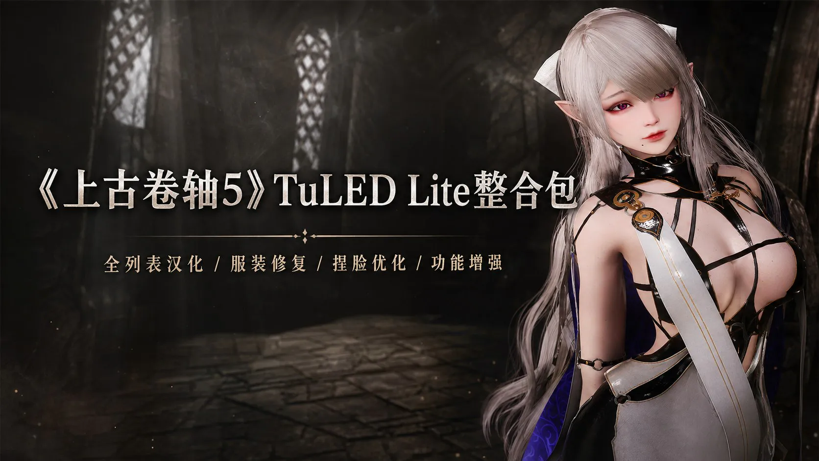 《上古卷轴5》TuLED Lite Mod整合包 增加服装 补充兼容性 方便安装配置 PC端 预览图